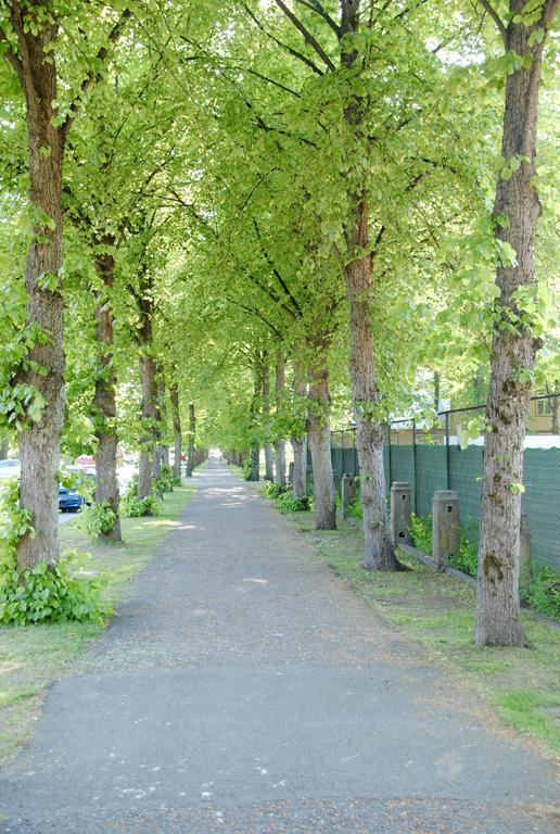 Cabin Guesthouse With Free Parking 페르누 외부 사진